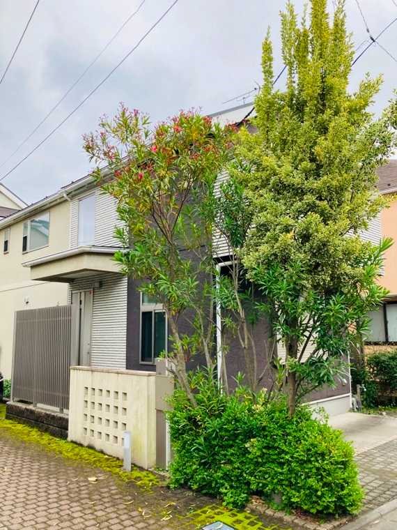 浜田山1丁目戸建 外観