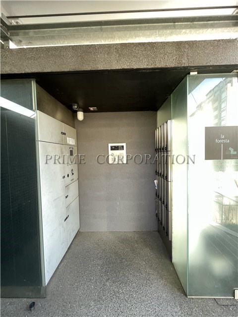 il cielo la foresta  セキュリティ