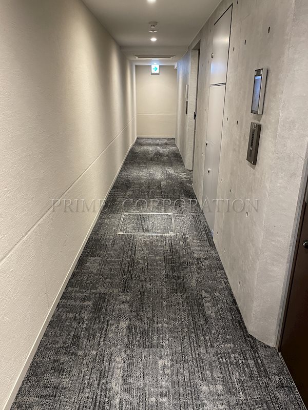 グランパセオ西麻布 エントランス