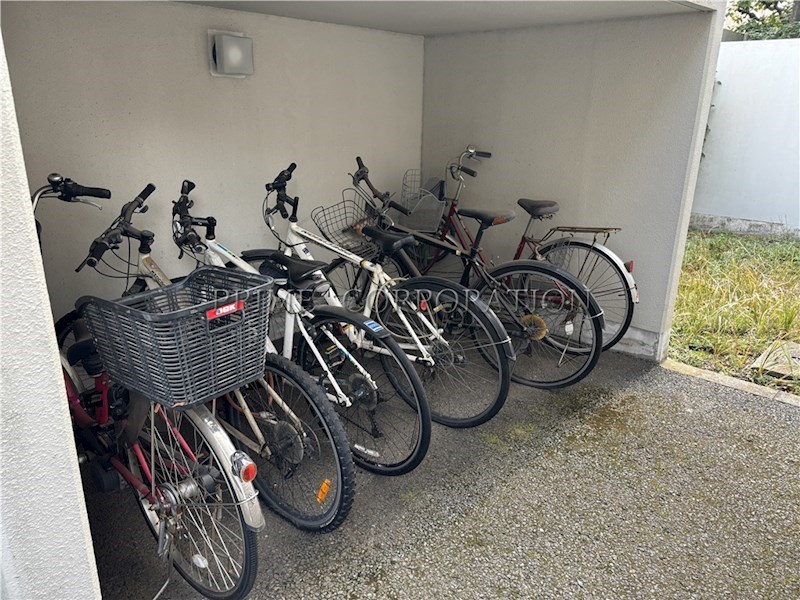 プレステージ田園調布 その他