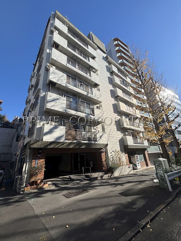 池田山スカイマンション 外観