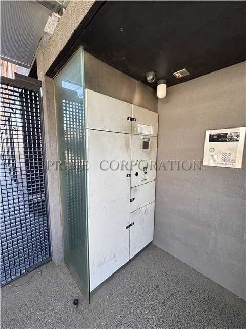 il cielo la foresta  その他